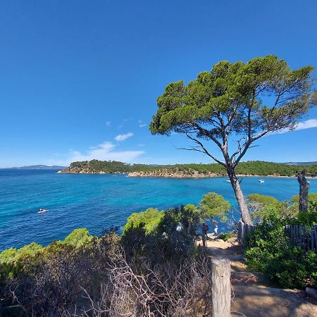 Ferienwohnung Coquet Studio Avec Belle Terrasse La Londe-les-Maures Exterior foto